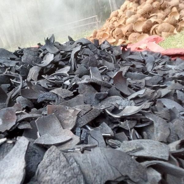 Coconut shell charcoal